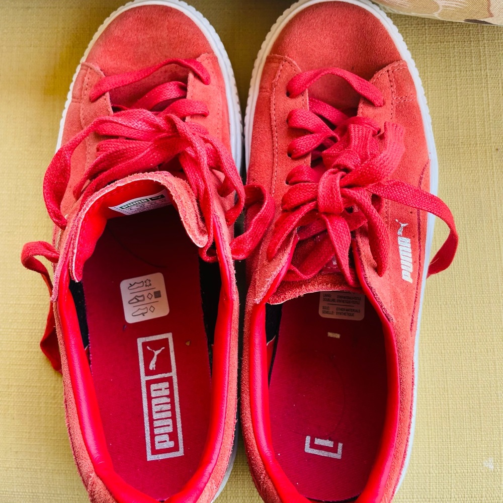 Puma - Picture 5 of 6
